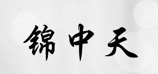 錦中天品牌logo
