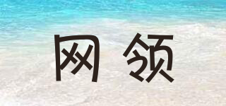 網(wǎng)領(lǐng)品牌logo