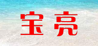 寶亮品牌logo