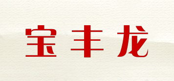 寶豐龍品牌logo
