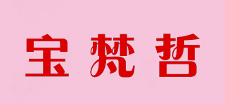 PVANZ/寶梵哲品牌logo