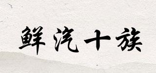 鮮汽十族品牌logo