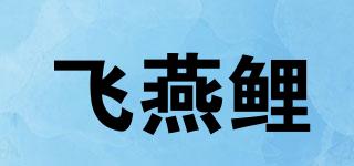 飛燕鯉品牌logo