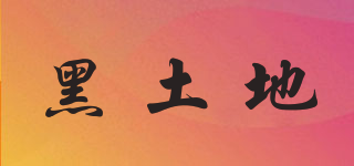 黑土地品牌logo