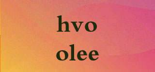 hvoolee品牌logo