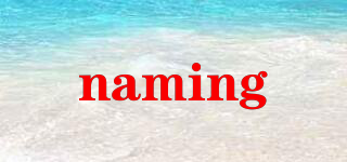 naming品牌logo