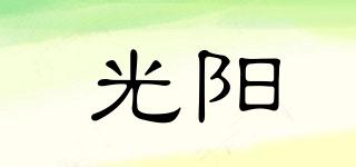 光陽品牌logo