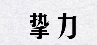 摯力品牌logo