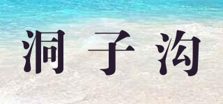 Dong Zhi Gou/洞子溝品牌logo