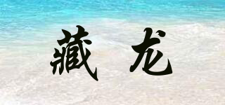 藏龍品牌logo