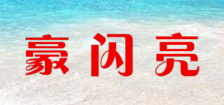 豪閃亮品牌logo