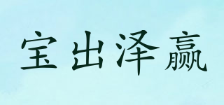 寶出澤贏品牌logo