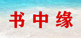 BOOKLINK/書中緣品牌logo
