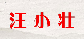 汪小壯品牌logo