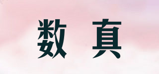 數(shù)真品牌logo