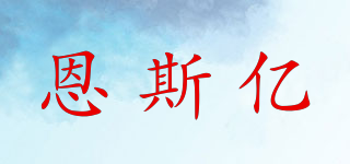 NSE/恩斯億品牌logo