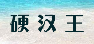 硬漢王品牌logo