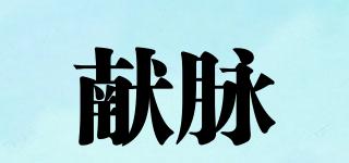 獻(xiàn)脈品牌logo