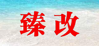 臻改品牌logo