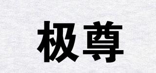 極尊品牌logo