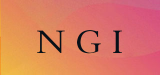 NGI品牌logo
