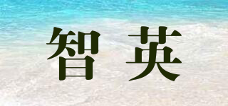 智英品牌logo