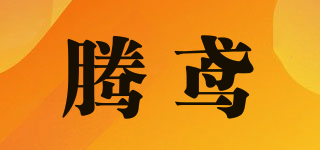騰鳶品牌logo