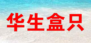 WHAT’SON BOX/華生盒只品牌logo