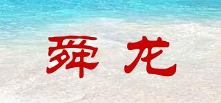 舜龍品牌logo
