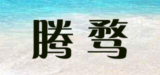 騰騖品牌logo