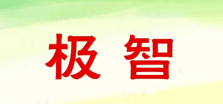 極智品牌logo