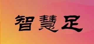智慧足品牌logo