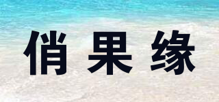 俏果緣品牌logo