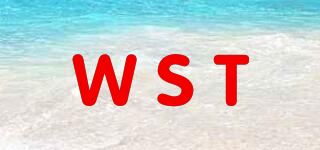 WST品牌logo