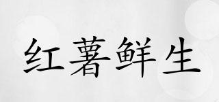 紅薯鮮生品牌logo