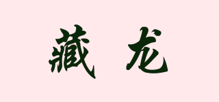 HIDDEN DRAGON/藏龍品牌logo