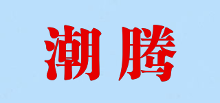 潮騰品牌logo