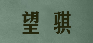 望騏品牌logo