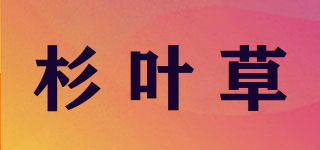 杉葉草品牌logo