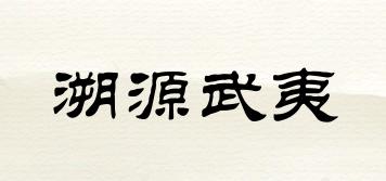 溯源武夷品牌logo