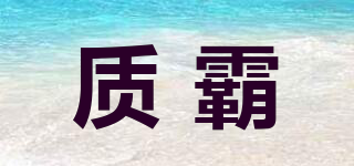 質(zhì)霸品牌logo