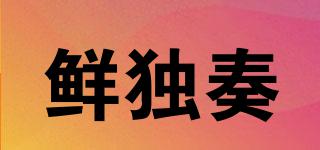 鮮獨(dú)奏品牌logo