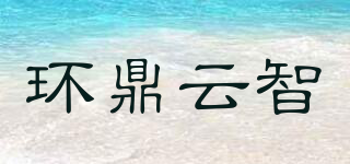 環(huán)鼎云智品牌logo