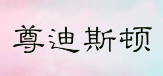zundsdun/尊迪斯頓品牌logo