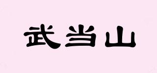 武當(dāng)山品牌logo