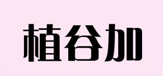 Chicglade+/植谷加品牌logo