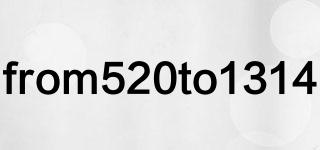 from520to1314品牌logo