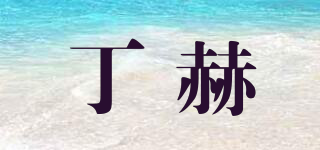 DINHEUSA/丁赫品牌logo