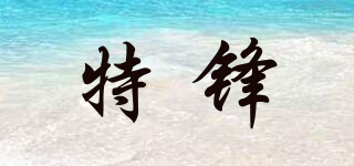 特鋒品牌logo