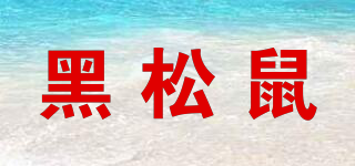 黑松鼠品牌logo